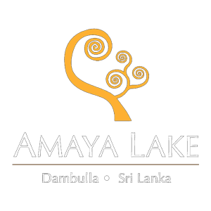 amaya